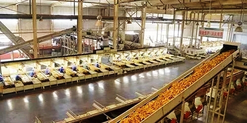 空氣源熱泵烘干流水線(xiàn)作業(yè) 空氣源熱泵烘干流水線(xiàn)作業(yè)