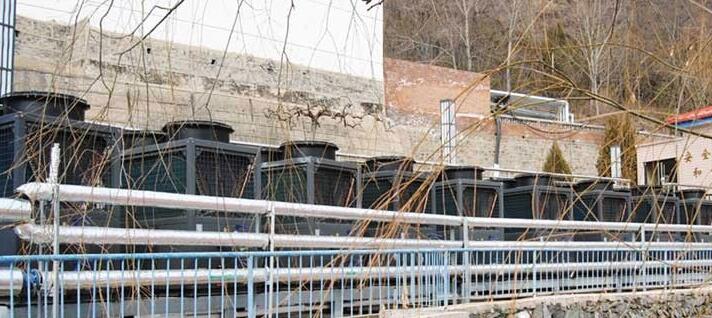 ՚ԴˮP(gun)֪RЩ